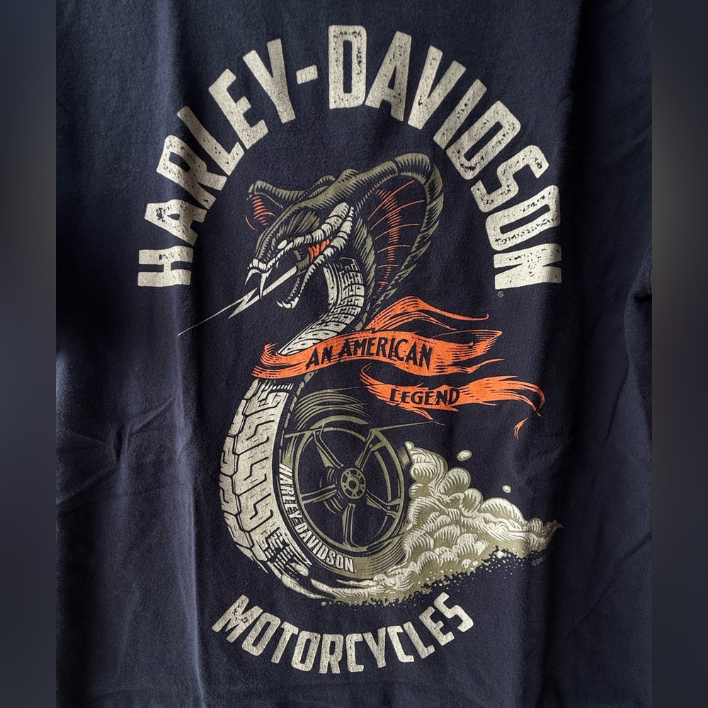 Harley-Davidson Black Snake Graphic Tee from Hale’s Harley in Mansfield Ohio - Picture 2 of 6